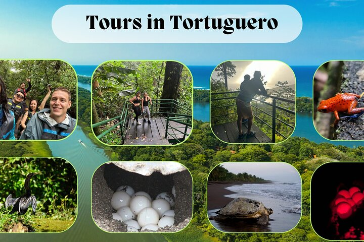 Package of 3 excursions in Tortuguero (Canoa, viewpoint, hike) - Photo 1 of 20